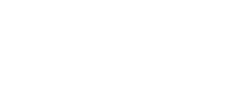 National Payments logo